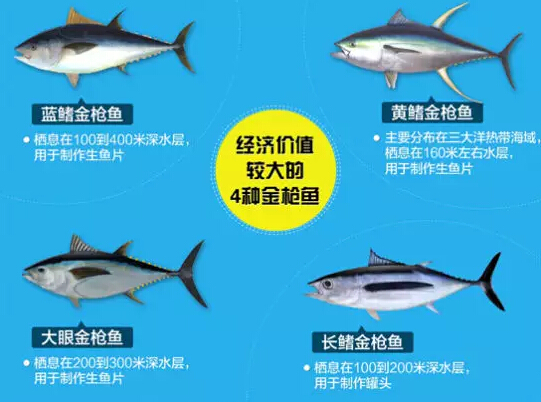 水产品出口 水产品出口